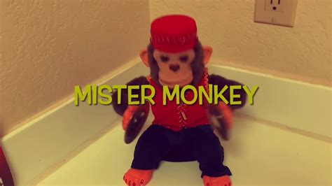 Mr Monkey betsul