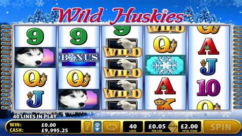 Selvagem husky slots