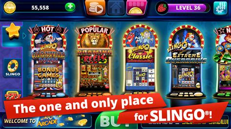 Slingo slots casino