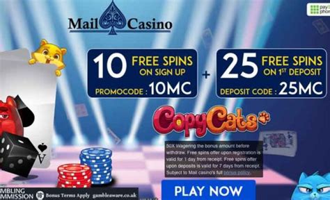 Ted bingo casino online