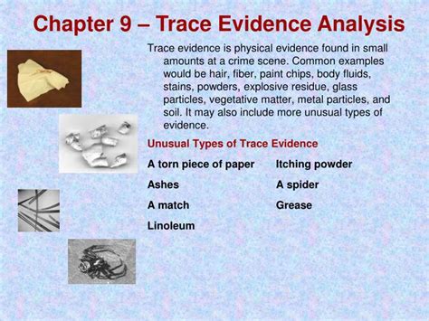 Traces Of Evidence brabet
